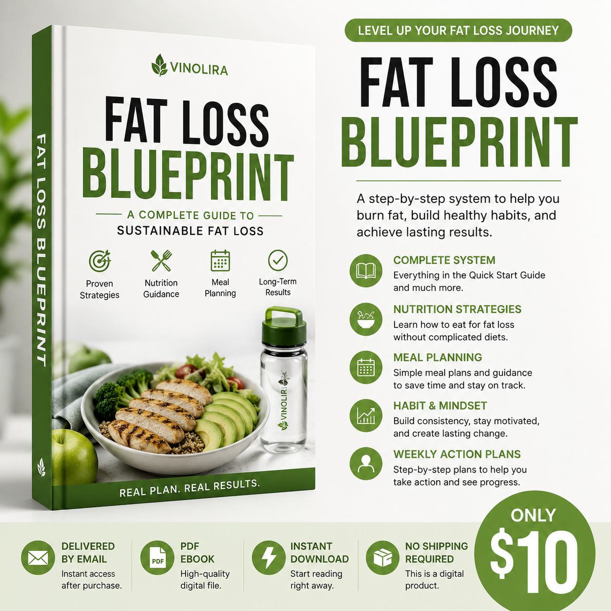 Fat Loss Blueprint